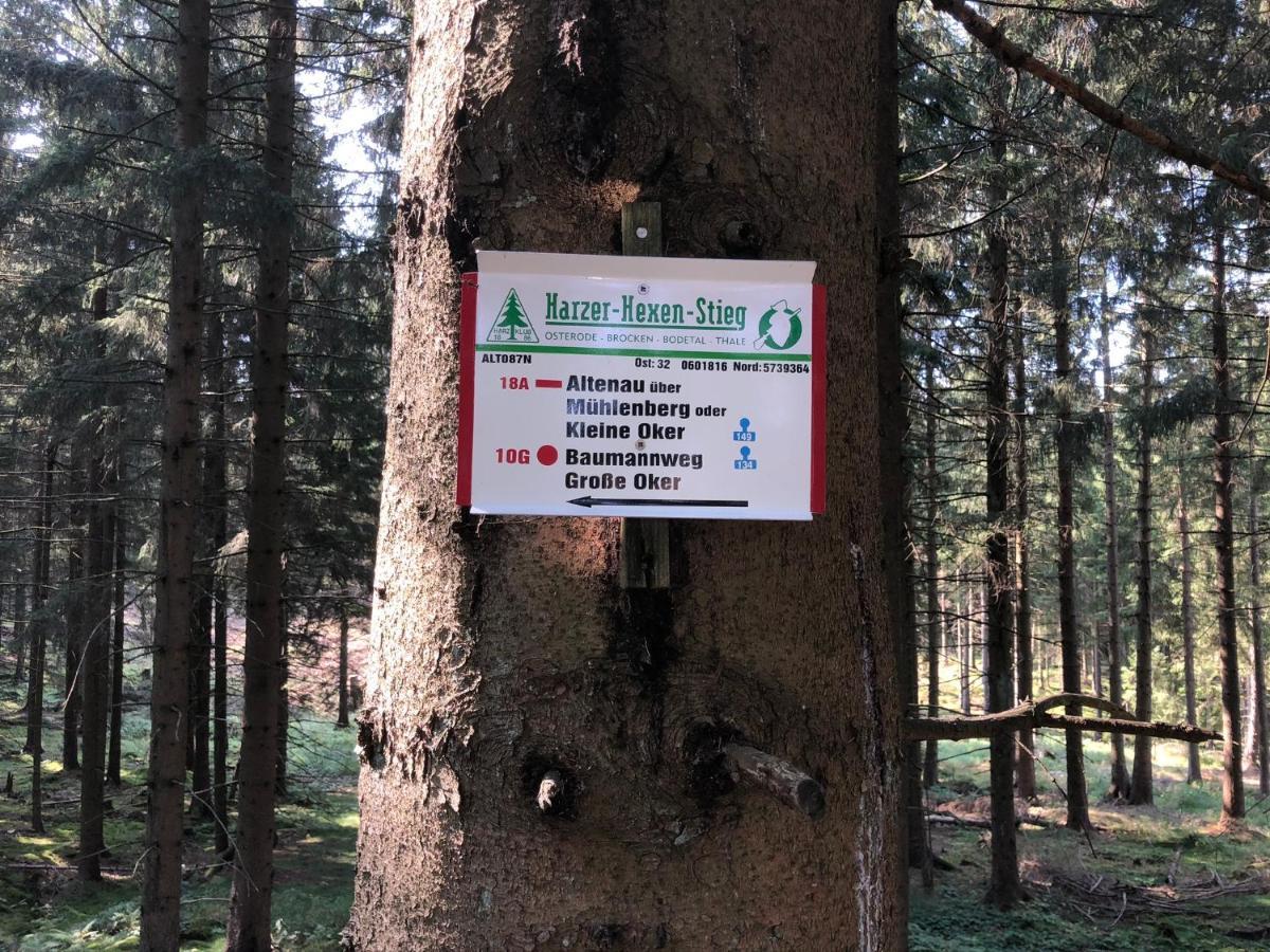 Am Muehlenberg Lejlighed Altenau  Eksteriør billede