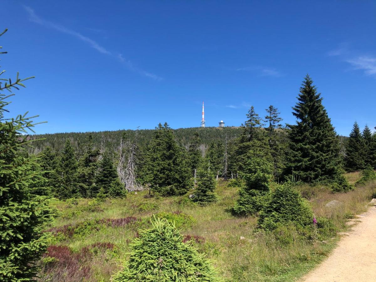Am Muehlenberg Lejlighed Altenau  Eksteriør billede