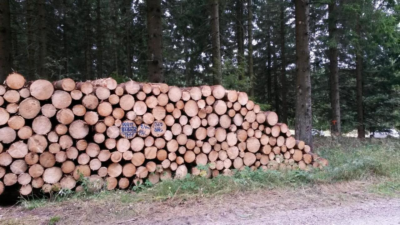 Am Muehlenberg Lejlighed Altenau  Eksteriør billede